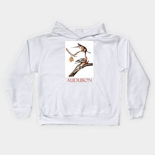 Passenger Pigeon by John James Audubon Kids Hoodie